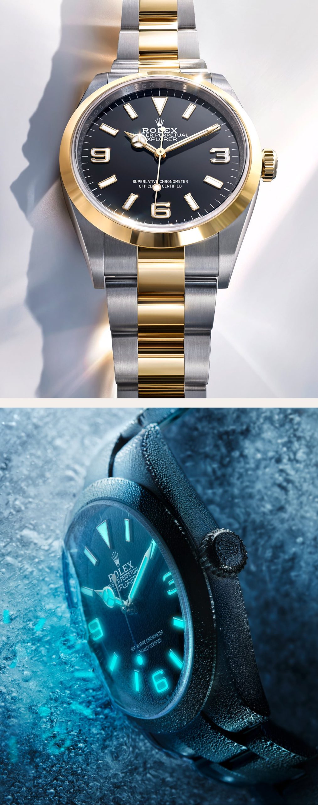 rolex Explorer watches - DAFC