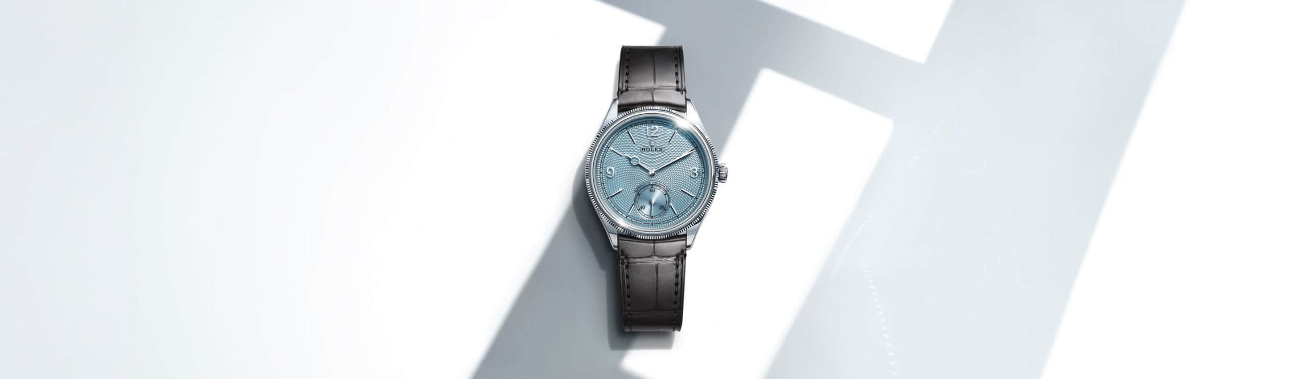 rolex Oyster Perpetual watches - DAFC