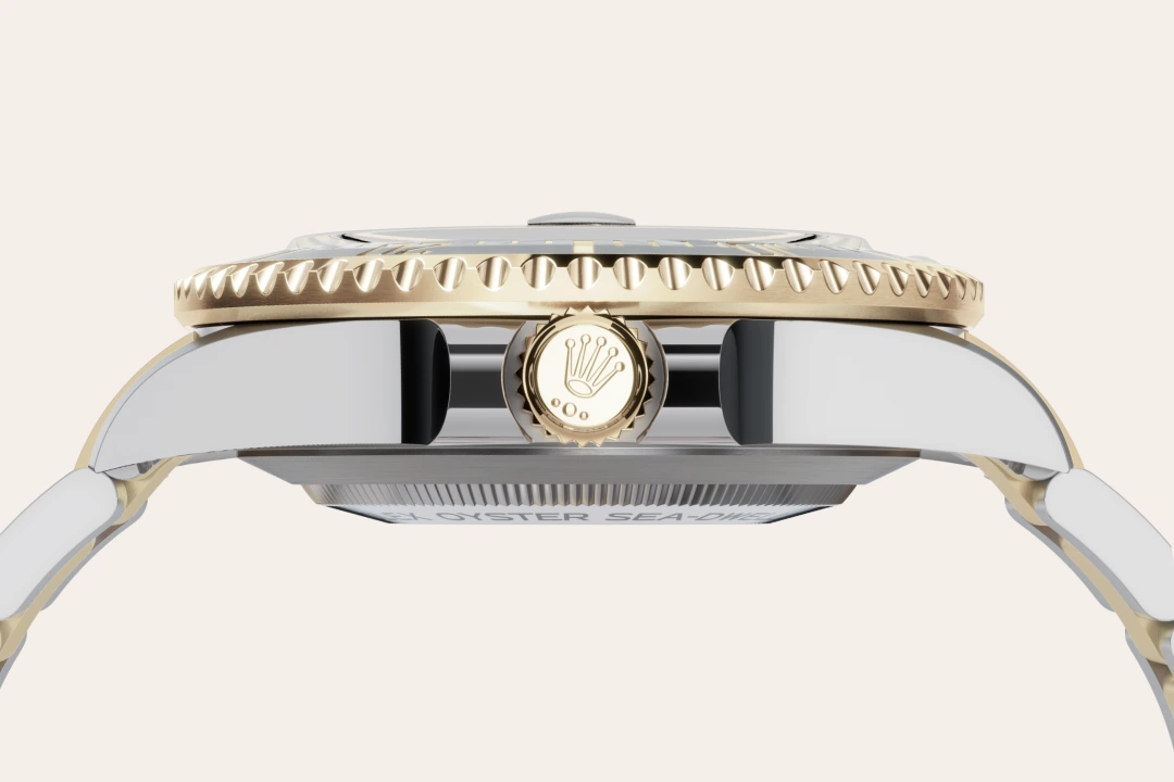 Sea-Dweller M126603-0001 feature 3
