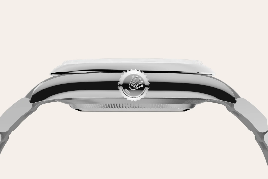 Oyster Perpetual 41 - Oystersteel