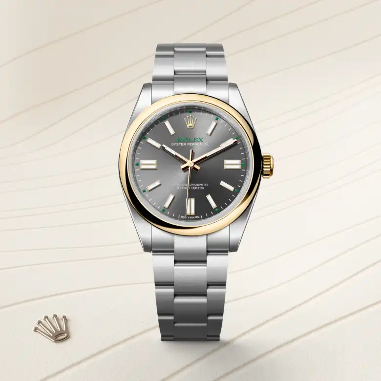 The Rolex Oyster Perpetual 41 in Oystersteel and yellow gold shown against a muted elegant background.